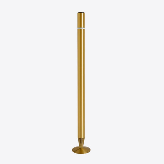 Brushed Brass Motorised Lifting Smart Floor Lamp – BT Speaker – Lower Ambient Light - JOJOYO Home