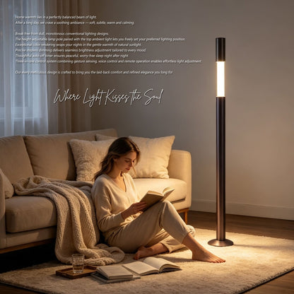 Brushed Gun Black Motorised Lifting Smart Floor Lamp - JOJOYO Home