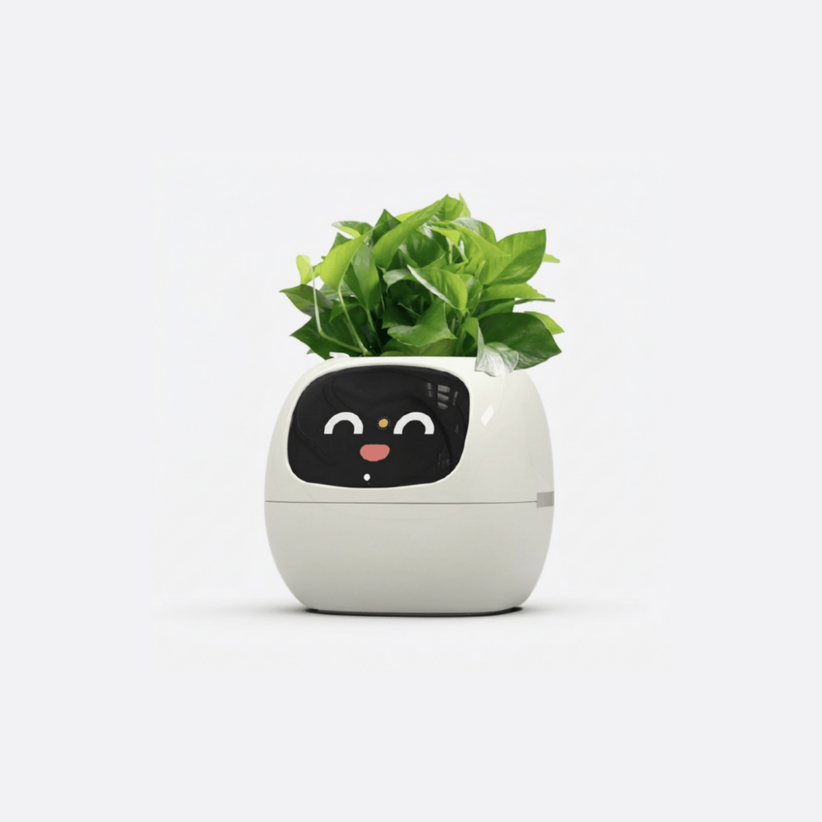 Self - Watering Smart Planter - JOJOYO Home