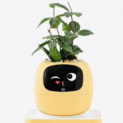 Self - Watering Smart Planter - JOJOYO Home