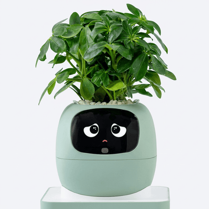 Self - Watering Smart Planter - JOJOYO Home